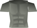 Fighter torso